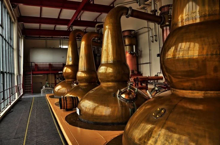 Scottish scientists turn whisky by product into sustainable fuel